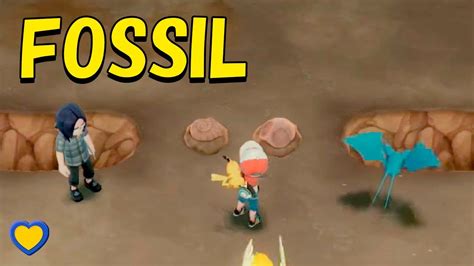 let's go eevee fossil|pokemon let's go fossil respawn.